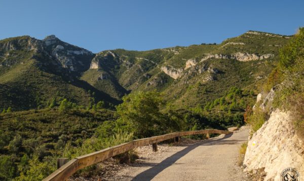 VISITA INTERPRETATIVA AL DELTEBRE-VIVE PEÑÍSCOLA TOURS