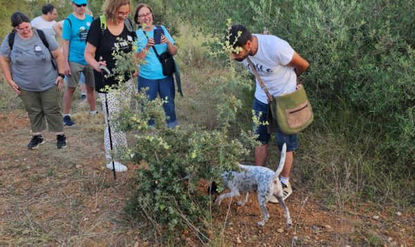 Cazadores de Trufas en el Puig de Vinaròs-Vive Peñíscola Tours