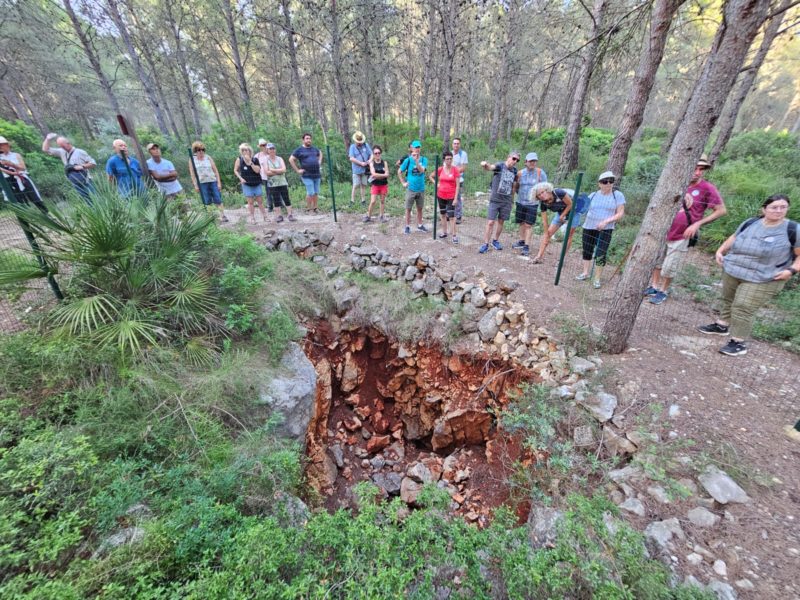 El fascinante mundo del cítrico de Vinaròs-vive Peñíscola tours