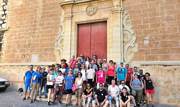 El fascinante mundo del cítrico de Vinaròs-vive Peñíscola tours