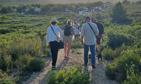 La garrofa: Una Història deliciosa a Sant Jordi-Vive Peñíscola Tours