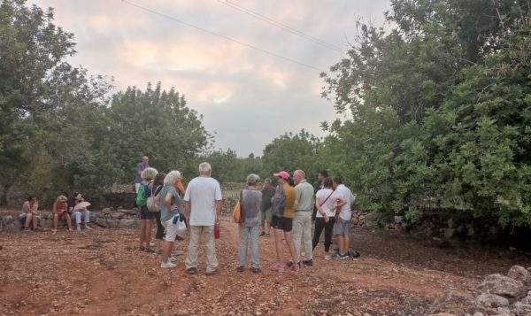 La garrofa: Una Història deliciosa a Sant Jordi- vive peñíscola tours